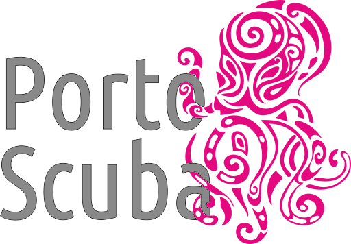 Hvorfor booke bådtur eller dyk med PortoScuba i Halkidiki