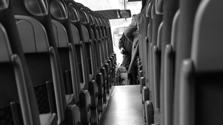 bus, travel, vacations, bus ride, trip, fun, bus driver, bus trip, coach, school bus, vehicle, ride, black-and-white, leisure time, road, city, quickly, piste, path, automobile, bus, bus, bus, bus driver, bus driver, bus driver, bus driver, bus driver, bus trip, bus trip, school bus, school bus, school bus