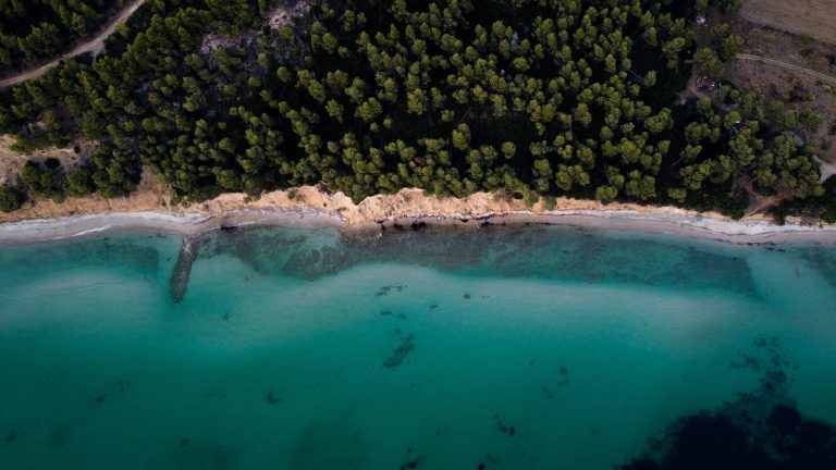 卡桑德拉适合幼儿的浅水海滩精选 2026