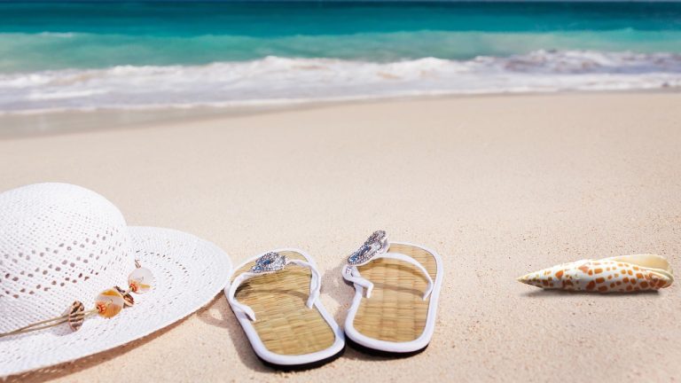 beach, sand, sea, sandy beach, vacations, caribbean, coast, summer, coneflower, flip-flop, nature, shell