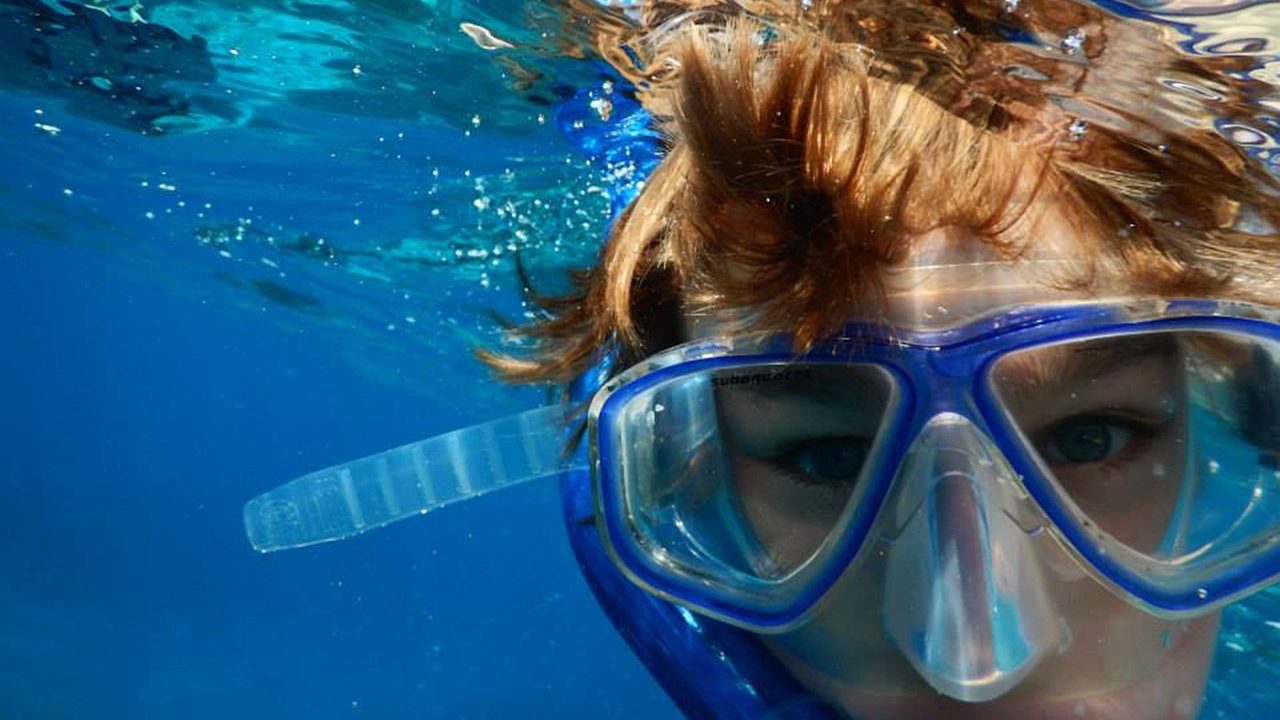 swimming, snorkeling, nature, ocean, underwater, water, snorkel