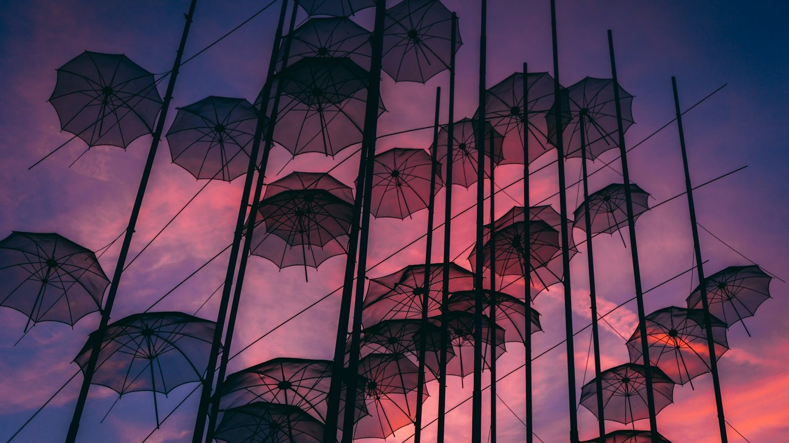 black hanging umbrellas art