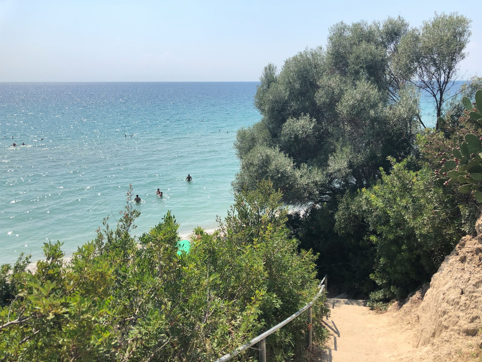 body of water near trees