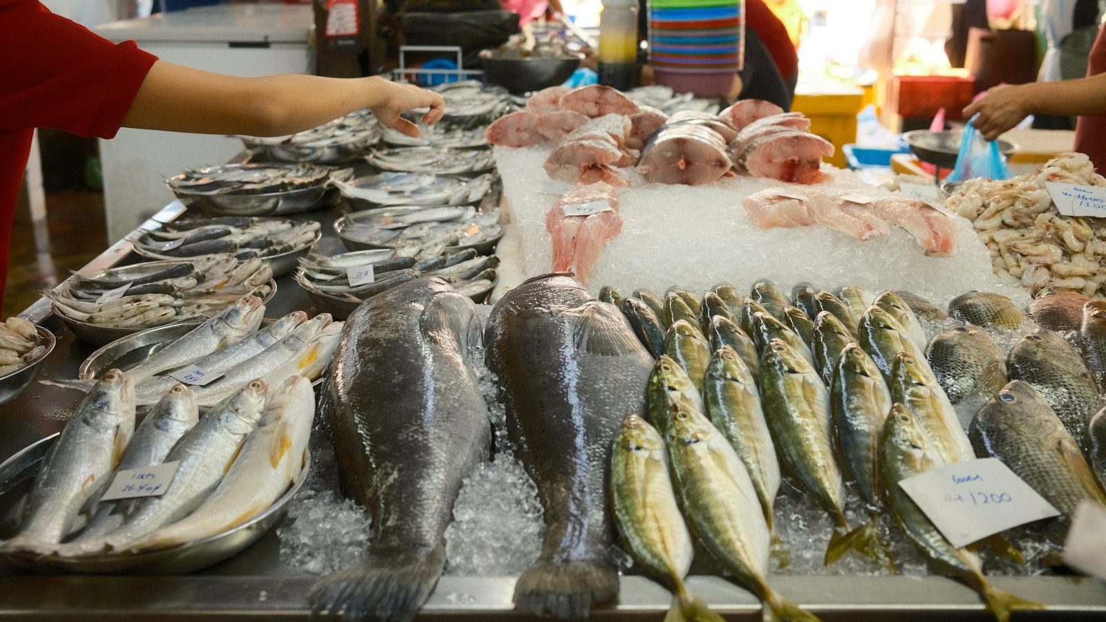 A woman standing in front of a table filled with fish