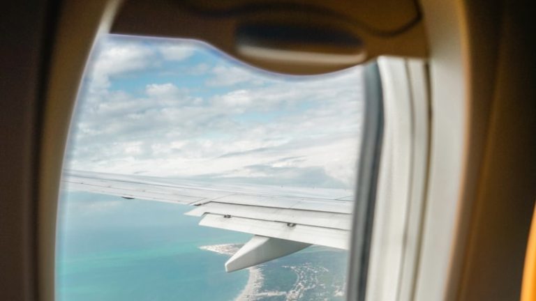 airplane window view of city during daytime